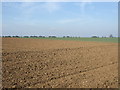 Farmland off the A607