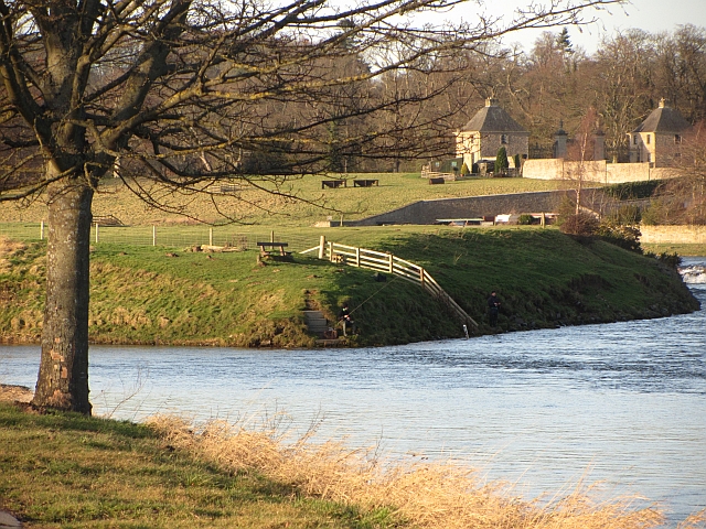 Confluence of Tweed and Teviot, Kelso
