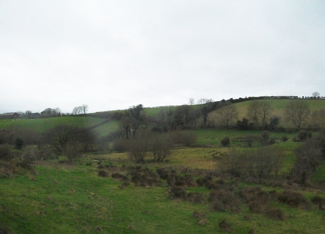 Inter-drumlin wetland west of the Old Belfast Road