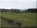 Farmland alongside the A24