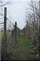 West Somerset : Public Footpath