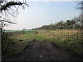 Field and gate on Chapel Lane