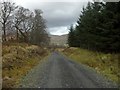 Path down from Clochcore Wood