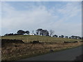 Looking up to Pontop Pike Farm