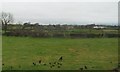 J3663 : Farmland between the Ballynahinch and Moss Roads by Eric Jones