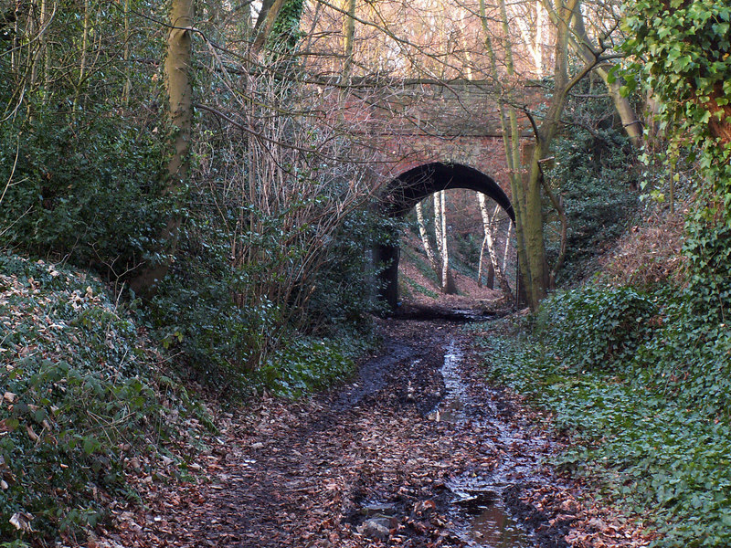 The Harborne Walkway Phil Champion Geograph Britain And Ireland