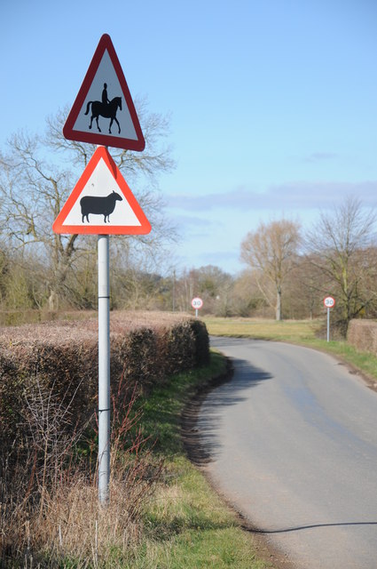 Beware sheep and riders