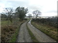 Track to Gelli-lwch Farm