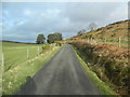 The road beside Twyn-y-glog