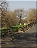 SX8178 : Parkelands, Bovey Tracey by Derek Harper
