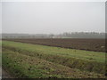 Moor  Farm  on  Newbald  Moor