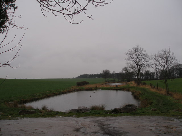 Fishing ponds off Red Hill Lane