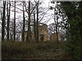 SE4806 : Ruin in Summer House Plantation by John Slater
