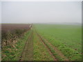 Footpath  toward  Newbald  Lodge  Farm