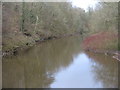 The River Kelvin