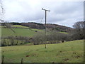 Field with a telegraph pole near Rudry