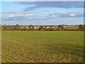 SU4238 : Farmland, Barton Stacey by Andrew Smith