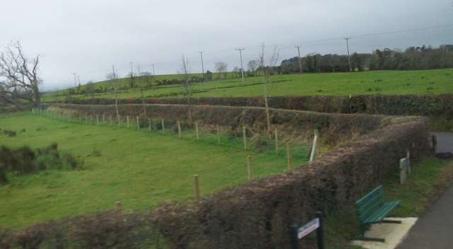 Ballymaglave Road from the A24