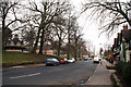 SP0481 : Sycamore Road, Bournville by Phil Champion