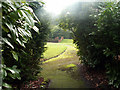 SP0480 : Peeking through the shrubbery into the Girls' Recreation Ground, Bournville by Phil Champion