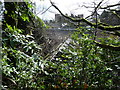 Old glasshouse at the rear of Ruperra Castle