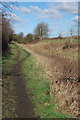 Cuckoo Way near Primrose Lane