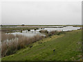 SO7104 : View from the Zeiss Hide at WWT Slimbridge by David Dixon