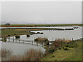 SO7104 : View from the Zeiss Hide at Slimbridge by David Dixon