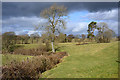 Fields and trees near Bryndu