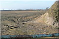 Farmland at Hedges Farm