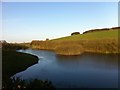 Pantyrhuad Farm Lakes