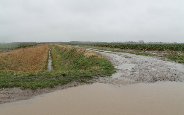 Muddy track and drain, near Burtey Fen Farm South
