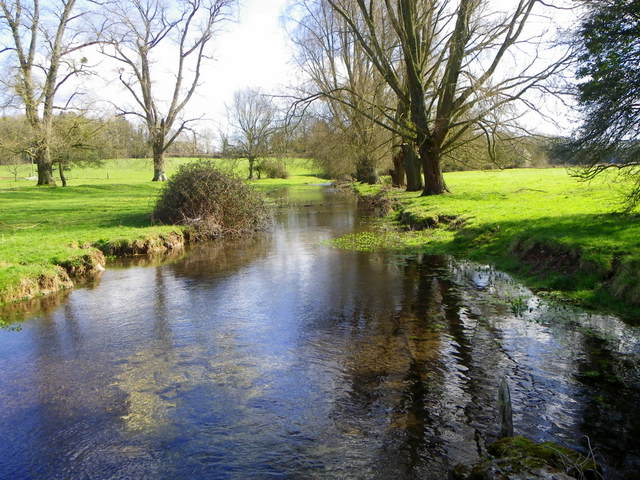 River Allen, Damerham