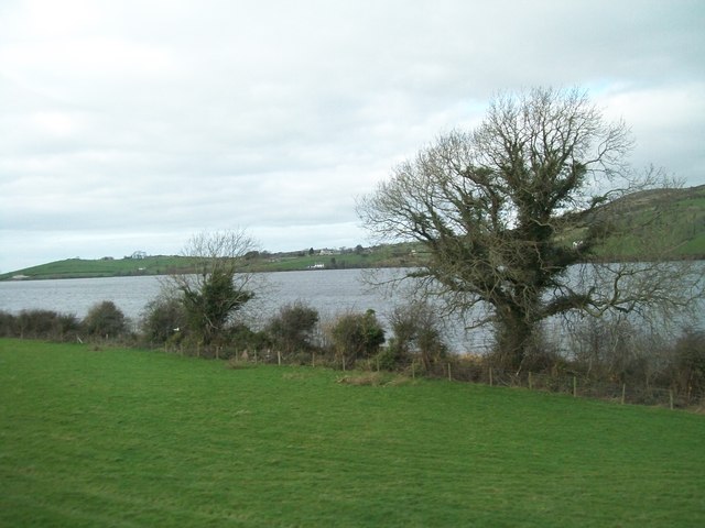 The south-eastern shore of Lough Island Reavy