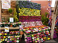 Springtime display at Chepstow Garden Centre