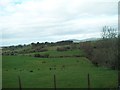 Countryside west of Convent Road