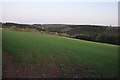 Mid Devon : Grassy Field