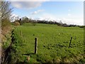 Creevehill Townland