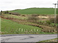 Inter-drumlin wetland north of the Ballyholland Road