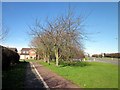 Approaching Green Lane, Vicars Cross