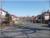 SE2737 : Drummond Road - looking towards Otley Road by Betty Longbottom