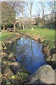 Ponds in Sandford Park ornamental gardens