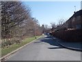 Hollin Drive - viewed from Weetwood Avenue