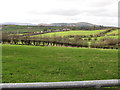 Farmland west of the Crobane Road