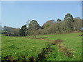 Farmland near Kingsbridge