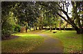 Footpath in Lowther Gardens