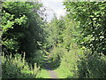 Trackbed of the former mineral railway between Ashes Quarry and Crawleyside (3)