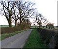 SK6902 : Gaulby Lane towards Gaulby by Andrew Tatlow