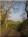 Gate near South Lodge