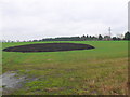 Muck Heap at Burnt Heath Farm